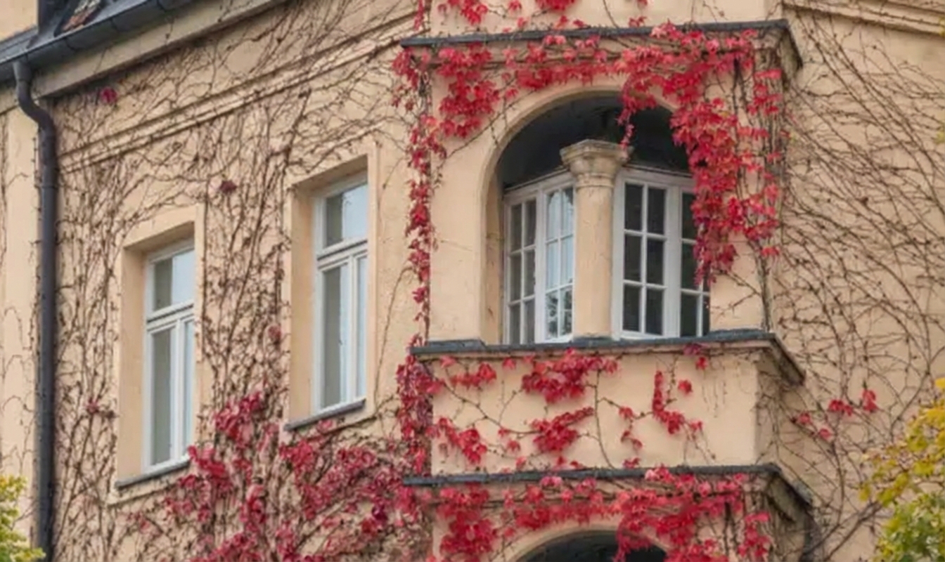 Европейците живеят в къщи, градовете в апартаменти, а българският пазар стои на кръстопът